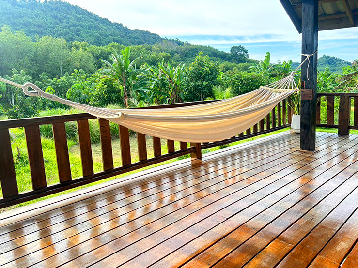 Hammock with mountain view